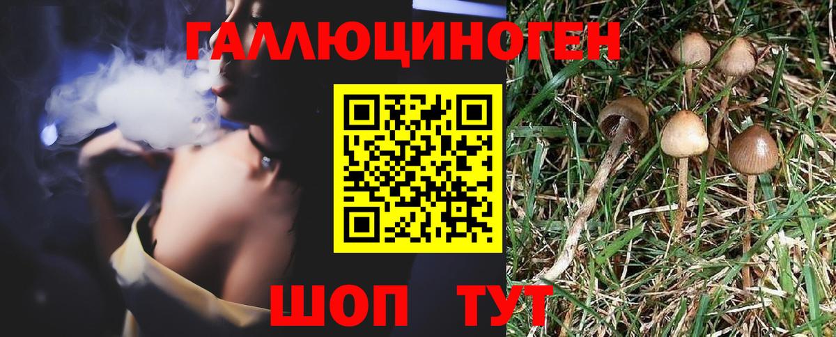 хочу наркоту  Псилоцибиновые грибы Cubensis  Вход с VPN  Галлюциногенные грибы мицелий  Киров 